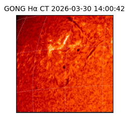 gong - 2026-03-30T14:00:42