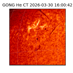 gong - 2026-03-30T16:00:42