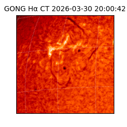 gong - 2026-03-30T20:00:42