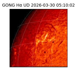 gong - 2026-03-30T05:10:02