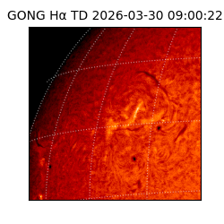 gong - 2026-03-30T09:00:22