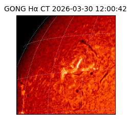 gong - 2026-03-30T12:00:42