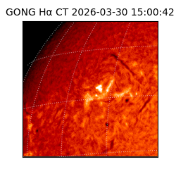 gong - 2026-03-30T15:00:42