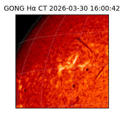 gong - 2026-03-30T16:00:42