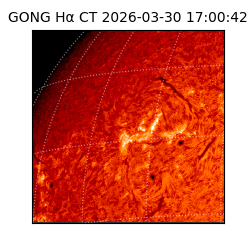 gong - 2026-03-30T17:00:42
