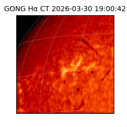 gong - 2026-03-30T19:00:42