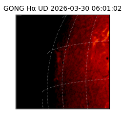 gong - 2026-03-30T06:01:02