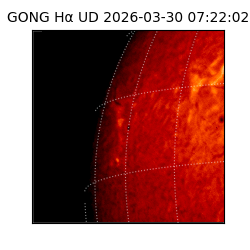 gong - 2026-03-30T07:22:02