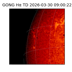 gong - 2026-03-30T09:00:22