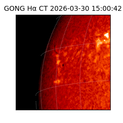 gong - 2026-03-30T15:00:42