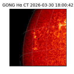 gong - 2026-03-30T18:00:42