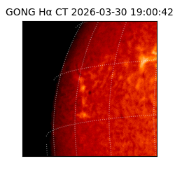 gong - 2026-03-30T19:00:42