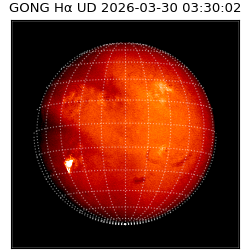 gong - 2026-03-30T03:30:02