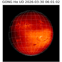 gong - 2026-03-30T06:01:02