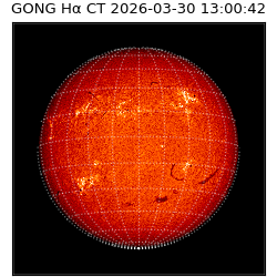 gong - 2026-03-30T13:00:42