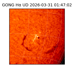 gong - 2026-03-31T01:47:02