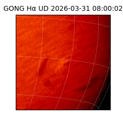 gong - 2026-03-31T08:00:02