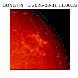 gong - 2026-03-31T11:00:22