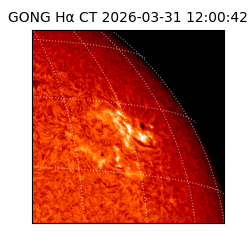 gong - 2026-03-31T12:00:42