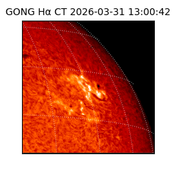 gong - 2026-03-31T13:00:42