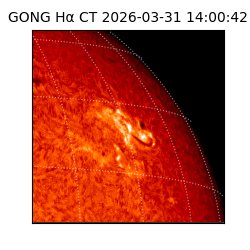 gong - 2026-03-31T14:00:42