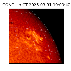 gong - 2026-03-31T19:00:42