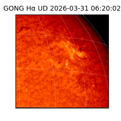 gong - 2026-03-31T06:20:02