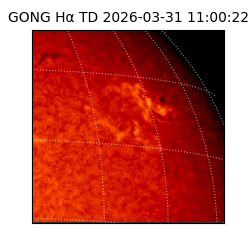 gong - 2026-03-31T11:00:22