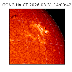 gong - 2026-03-31T14:00:42