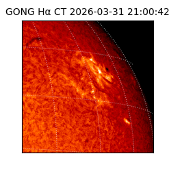gong - 2026-03-31T21:00:42