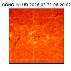 gong - 2026-03-31T06:20:02