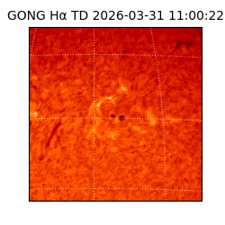 gong - 2026-03-31T11:00:22