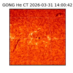 gong - 2026-03-31T14:00:42