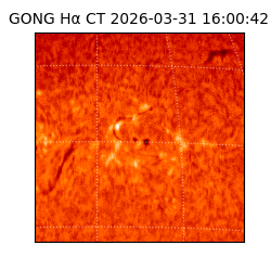 gong - 2026-03-31T16:00:42