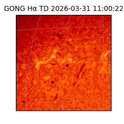 gong - 2026-03-31T11:00:22