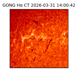 gong - 2026-03-31T14:00:42