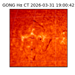 gong - 2026-03-31T19:00:42