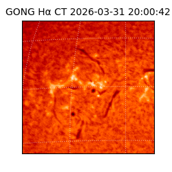 gong - 2026-03-31T20:00:42