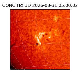 gong - 2026-03-31T05:00:02