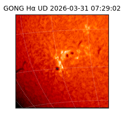 gong - 2026-03-31T07:29:02