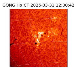 gong - 2026-03-31T12:00:42