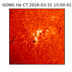 gong - 2026-03-31T15:00:42