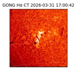 gong - 2026-03-31T17:00:42