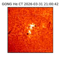 gong - 2026-03-31T21:00:42