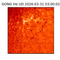 gong - 2026-03-31T03:00:02