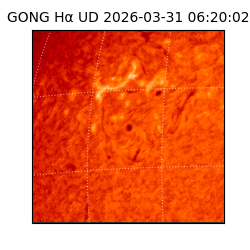 gong - 2026-03-31T06:20:02