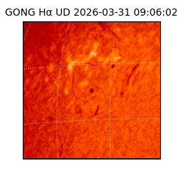 gong - 2026-03-31T09:06:02