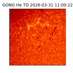 gong - 2026-03-31T11:00:22