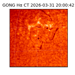 gong - 2026-03-31T20:00:42