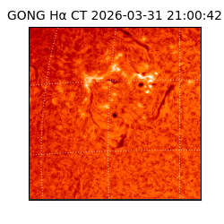 gong - 2026-03-31T21:00:42